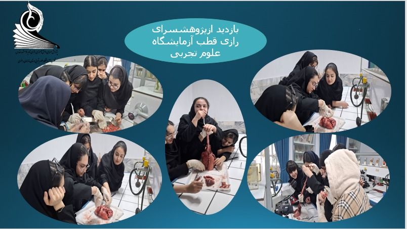 عکس10